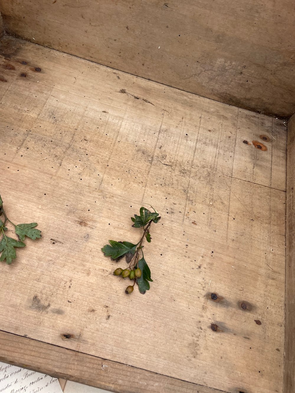 Image of French Washbox 