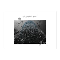 We are the cause of the problem