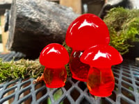 Image 1 of Mushroom trio Orange /amber