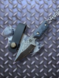 Image 1 of The Shamgar (Limited) 