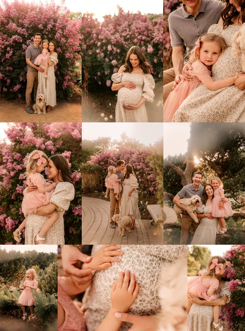 Image of Full Sessions - 2025 - $975