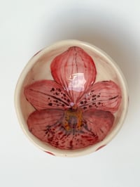 Image 2 of pink cymbidium orchid bowl 