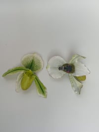 Image 2 of limon lady orchid shoe clips