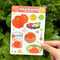 Image of Tomato Blobs Sticker Sheet 🍅