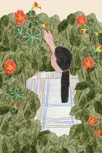 Image 2 of Lámina enredadera