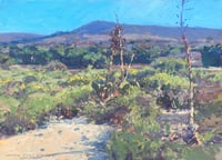 Image 1 of Cactus Flats, Ortega Highway