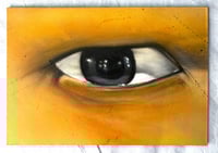 Orange Eye. 3x4ft