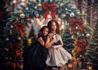 Image 7 of 2025- NOV. 22ND,   CHRISTMAS INDOOR MINI SESSION EVERGREEN ARCH/ BALLERINA | RETAINER