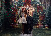 Image 6 of 2025- NOV. 22ND,   CHRISTMAS INDOOR MINI SESSION EVERGREEN ARCH/ BALLERINA | RETAINER