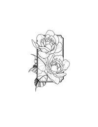 two peonies in frame