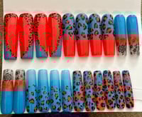 Image 1 of Rare Leopard