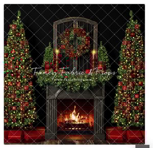 Image of  Family Holiday Studio Sessions 11/14/25