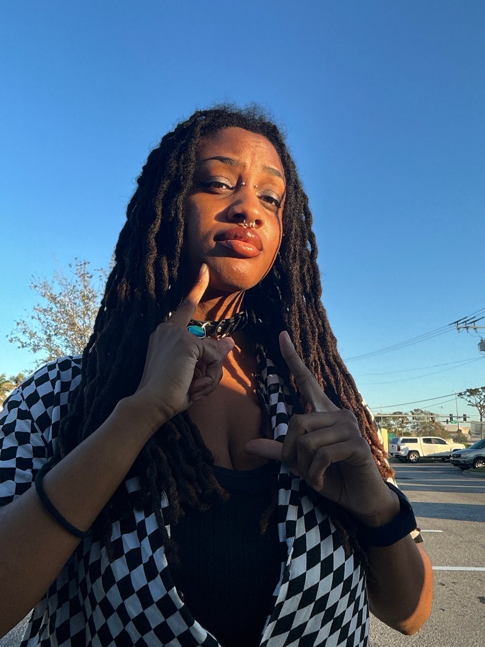 Image of Mystery Print