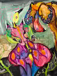 Image 4 of Paradise bird