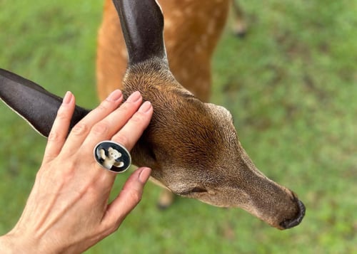 Image of "Surrounds me with.." teddy-bear’s silver ring with photo and rock crystal  · ТOTUM ME.. ·