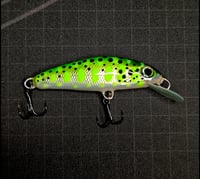 Image 3 of Trout Minnow