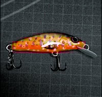Image 4 of Trout Minnow