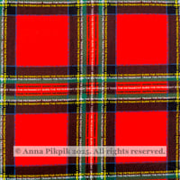 Image 2 of Feminist Tartan fabric <small>(heavy cotton twill)</small>