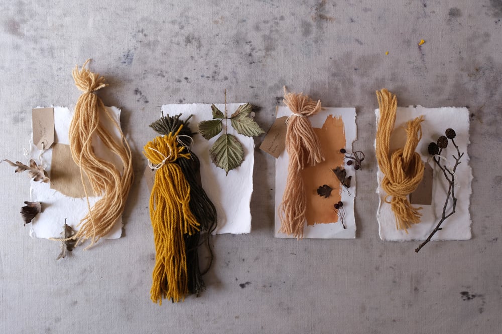 Image of Bristol Cloth 3rd Edition: Dartmoor Dyes