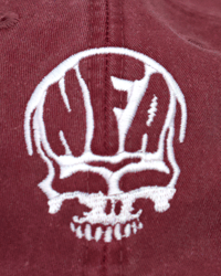 Image 3 of NFA Skull Dad Hat (Vintage Red)