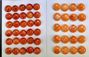 Image of 🔥 Spiny Oyster Shell Bolts – Born Free Edition