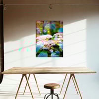 Image 3 of The Wide Open