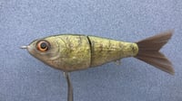 Image 1 of SPEEDBAITS Custom Airbrushed Swimbait 7923