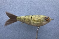 Image 2 of SPEEDBAITS Custom Airbrushed Swimbait 7923