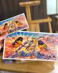 PRINT Mini print pack of "Sky Light, Sky Bright"