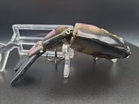 Image 5 of Ambition Lures Lil gill