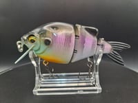 Image 4 of Ambition Lures Lil gill