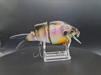 Image 3 of Ambition Lures Lil gill