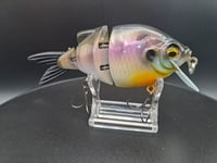 Image 8 of Ambition Lures Lil gill