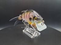 Image 6 of Ambition Lures Lil gill