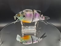 Image 1 of Ambition Lures Lil gill