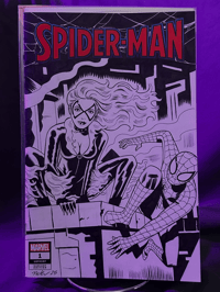 Black Cat & Spider-Man sketch cover
