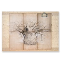 Image 1 of Toile originale - "Le grand Baobab Tsitakakoike" - 62 x 92 cm