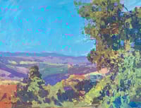 July Afternoon in San Clemente's Pico Valley