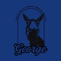 Image 4 of CLEARANCE SALE - George - Adult V-Neck Blue T-Shirt