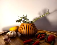 Image 5 of The CALABAZA