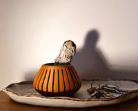Image 3 of The CALABAZA