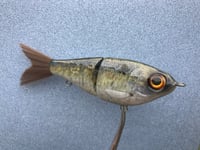 Image 3 of SPEEDBAITS Custom Airbrushed Swimbait 9767