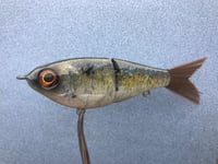 Image 4 of SPEEDBAITS Custom Airbrushed Swimbait 9767