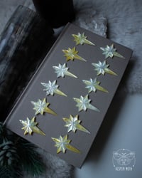 Image 3 of Starlight Earrings (Silver)