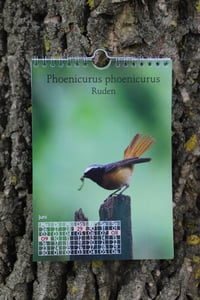 Image 3 of Calendar 2026