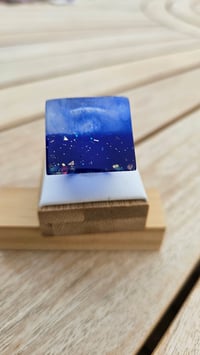 Image 5 of PASCALINE saphir