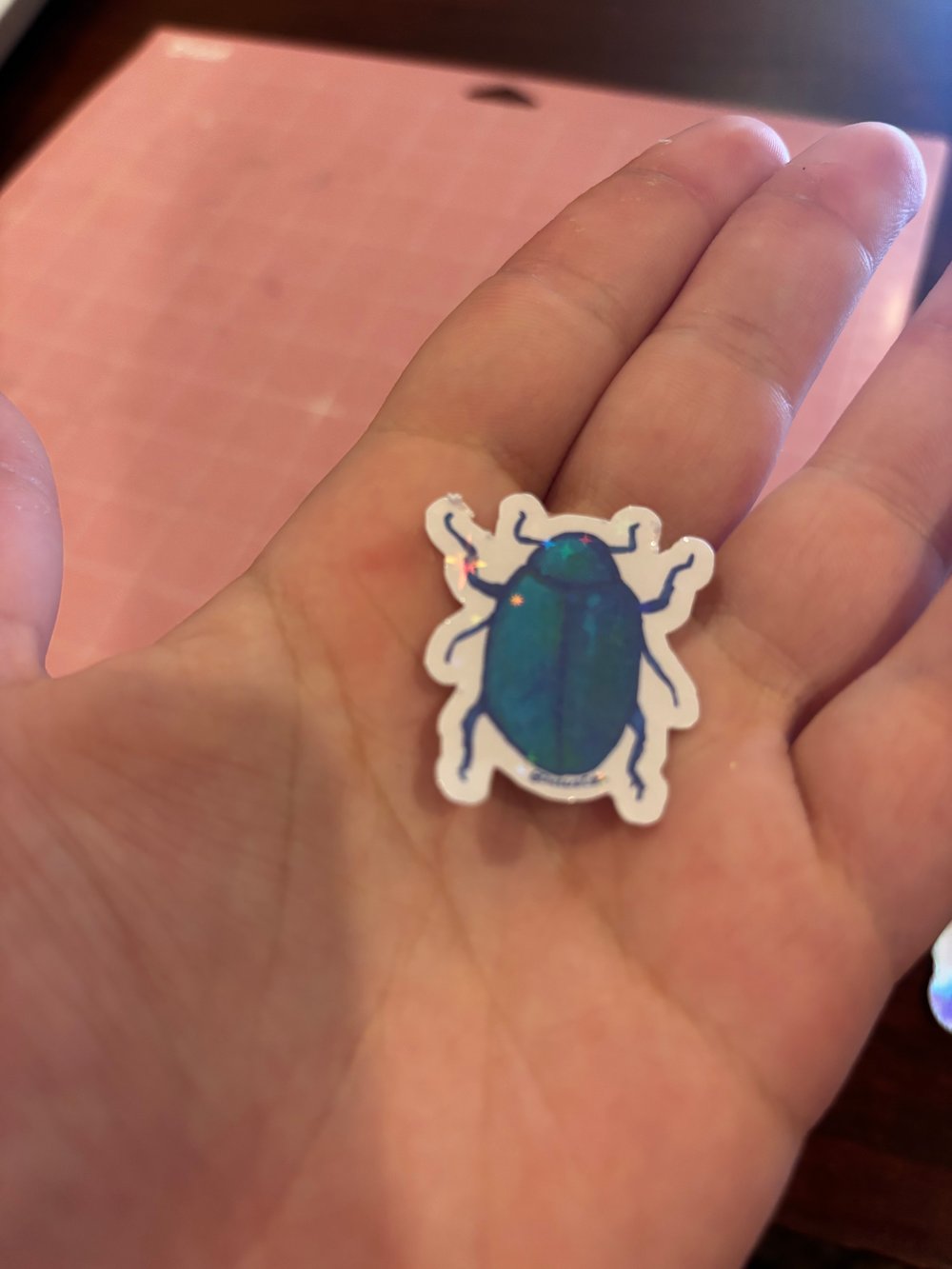 Image of Bugs
