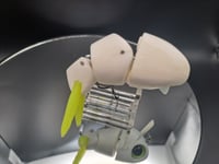 Image 4 of Ambition Lures-Choke Hazard