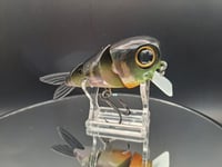 Image 4 of Ambition Lures- Choke Hazard 