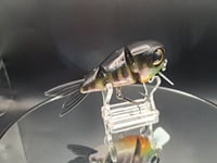 Image 2 of Ambition Lures- Choke Hazard 